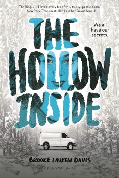 The Hollow Inside - Brooke Lauren Davis